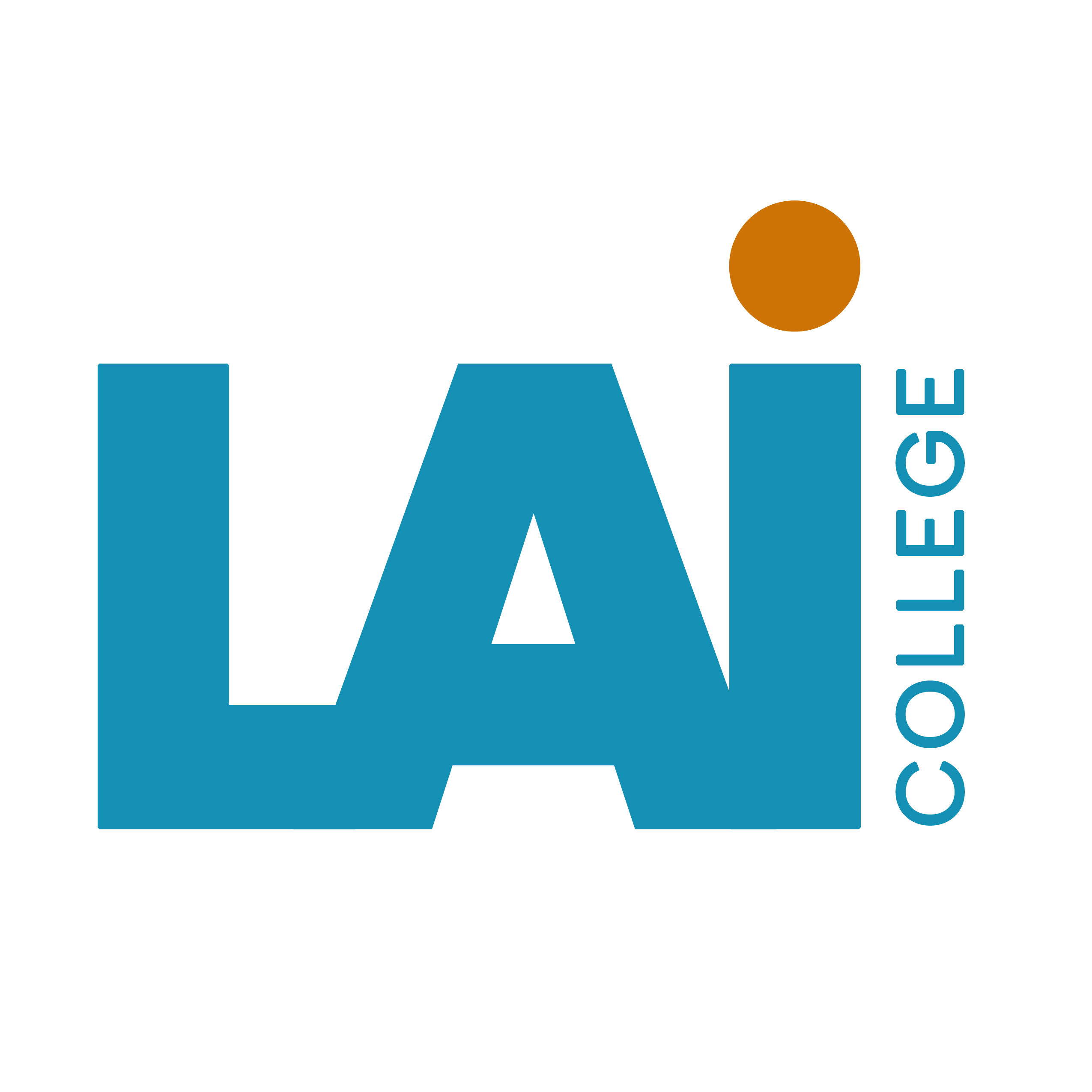 Life Academy International